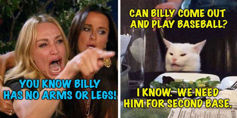 "He wouldn't really be playing" | CAN BILLY COME OUT 
AND PLAY BASEBALL? YOU KNOW BILLY HAS NO ARMS OR LEGS! I KNOW.  WE NEED HIM FOR SECOND BASE. | image tagged in smudge the cat | made w/ Imgflip meme maker