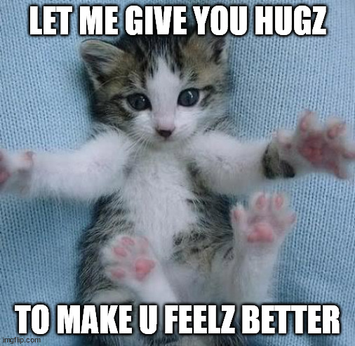 Hugz | LET ME GIVE YOU HUGZ; TO MAKE U FEELZ BETTER | image tagged in feel better,hugz | made w/ Imgflip meme maker