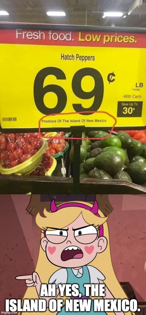 Ah yes, The Island of New Mexico |  AH YES, THE ISLAND OF NEW MEXICO. | image tagged in star butterfly yelling at you,star vs the forces of evil,you had one job,memes,failure,design fails | made w/ Imgflip meme maker