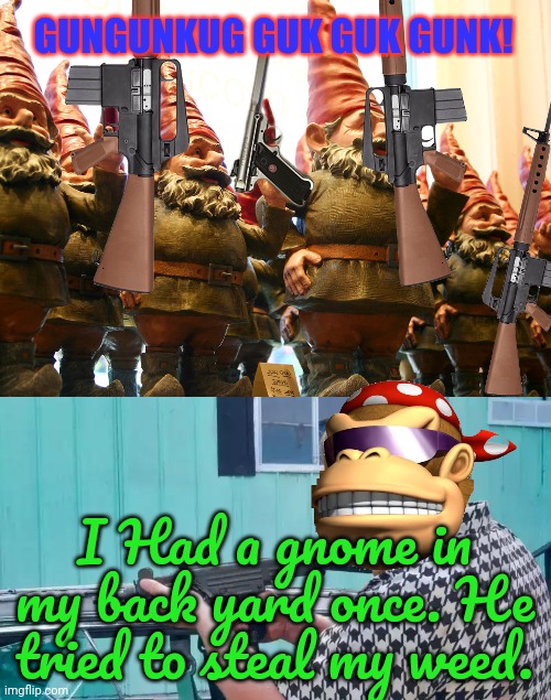 Libertarian reaction to gnome attack | GUNGUNKUG GUK GUK GUNK! I Had a gnome in my back yard once. He tried to steal my weed. | image tagged in libertarian,gnomes,stop it get some help | made w/ Imgflip meme maker