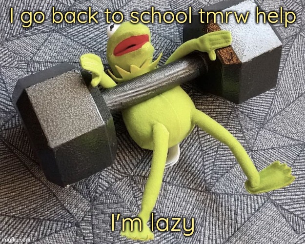 Nobody cares tho lol | I go back to school tmrw help; I'm lazy | image tagged in the_one_who_knocks27 temp 5 | made w/ Imgflip meme maker