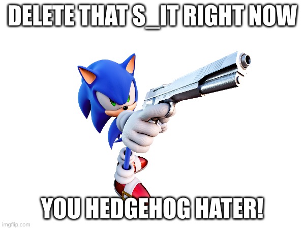 DELETE THAT S_IT RIGHT NOW YOU HEDGEHOG HATER! | made w/ Imgflip meme maker