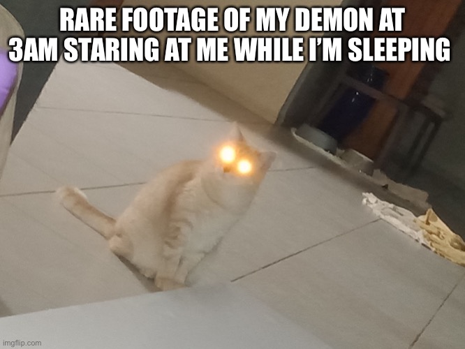 Demon Cat | RARE FOOTAGE OF MY DEMON AT 3AM STARING AT ME WHILE I’M SLEEPING | image tagged in demon cat,cats | made w/ Imgflip meme maker