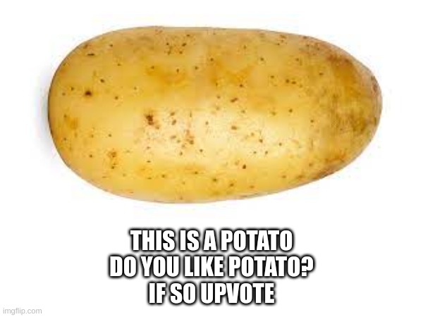 potato | THIS IS A POTATO
DO YOU LIKE POTATO?
IF SO UPVOTE | image tagged in potato | made w/ Imgflip meme maker