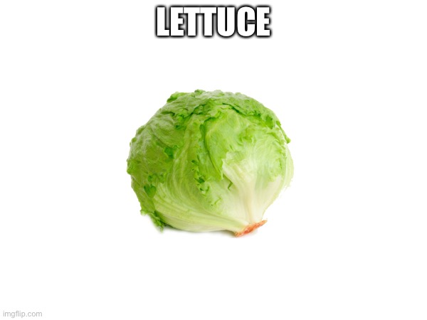 Lettuce | LETTUCE | image tagged in lutuce | made w/ Imgflip meme maker