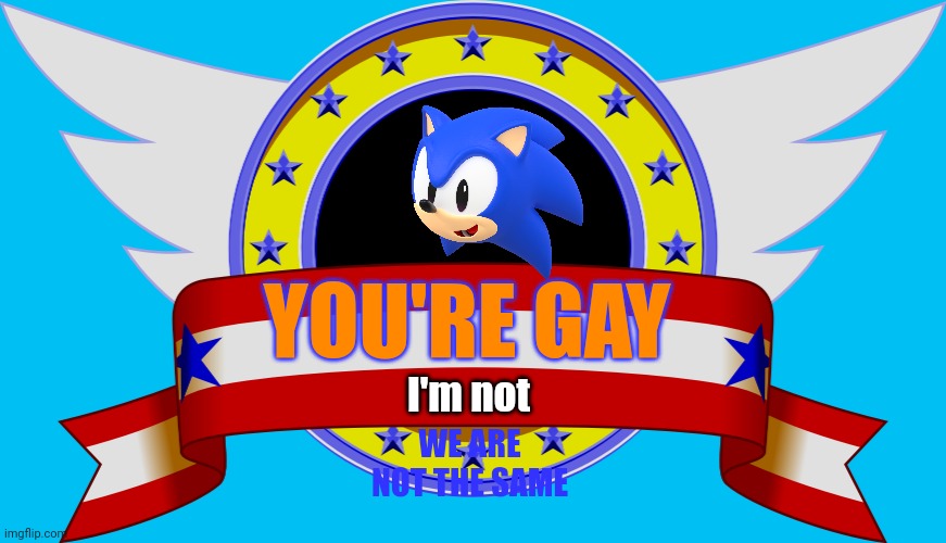 Sonic logo | YOU'RE GAY I'm not WE ARE NOT THE SAME | image tagged in sonic logo | made w/ Imgflip meme maker