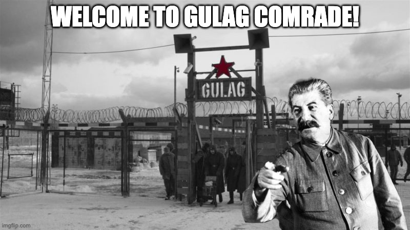 Welcome to Gulag! | WELCOME TO GULAG COMRADE! | image tagged in gulag,joseph stalin,memes,soviet union,stalin,russia | made w/ Imgflip meme maker