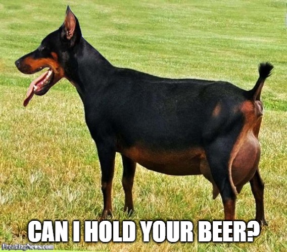 Doberman-Goat | CAN I HOLD YOUR BEER? | image tagged in doberman-goat | made w/ Imgflip meme maker