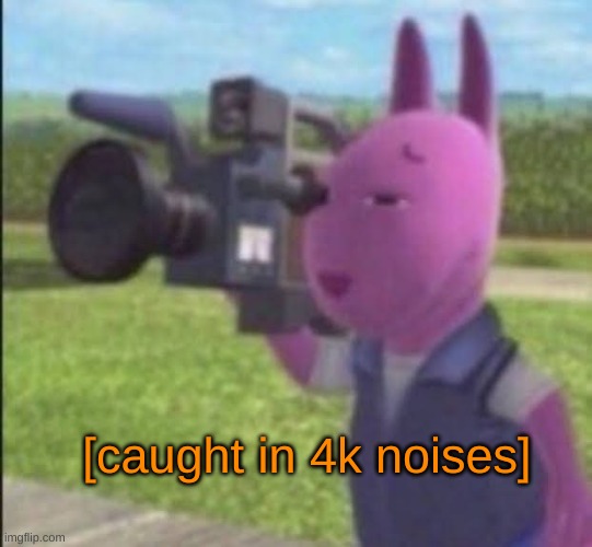 Caught in 4k | [caught in 4k noises] | image tagged in caught in 4k | made w/ Imgflip meme maker