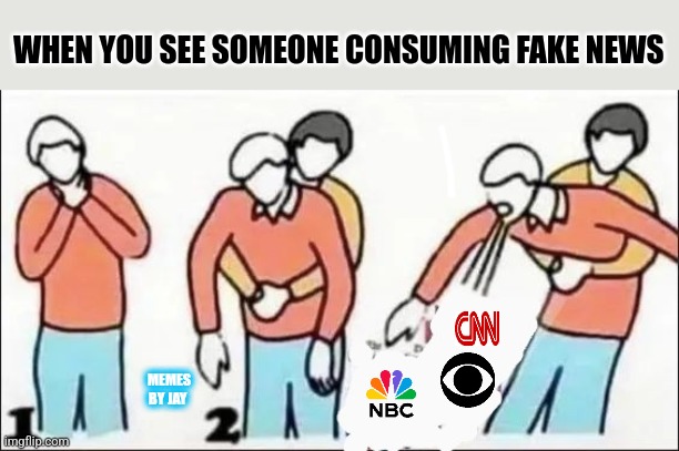 Lol | WHEN YOU SEE SOMEONE CONSUMING FAKE NEWS; MEMES BY JAY | image tagged in fake news,cnn,msnbc | made w/ Imgflip meme maker