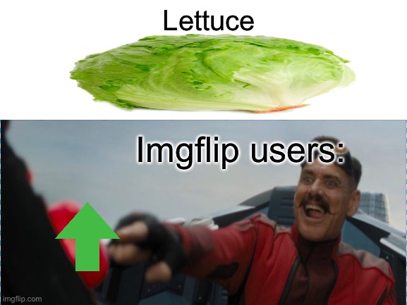 It’s not even funny people don’t even try anymore | Lettuce; Imgflip users: | image tagged in memes,funny | made w/ Imgflip meme maker