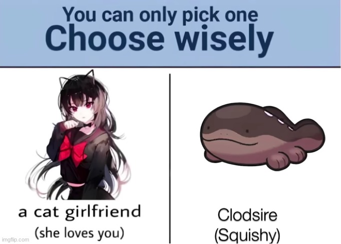 Choose wisely, soldier. | image tagged in memes,choose wisely,pokemon,clodsire | made w/ Imgflip meme maker