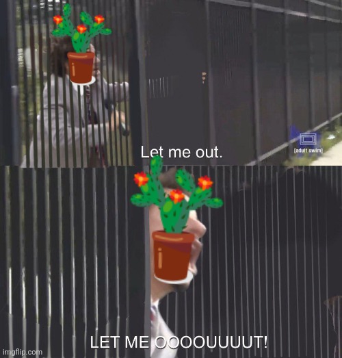 LET ME OUT | image tagged in let me out,cactus | made w/ Imgflip meme maker