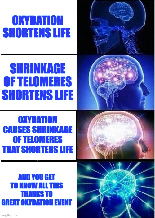 Oxydation | OXYDATION SHORTENS LIFE; SHRINKAGE OF TELOMERES SHORTENS LIFE; OXYDATION CAUSES SHRINKAGE OF TELOMERES THAT SHORTENS LIFE; AND YOU GET TO KNOW ALL THIS THANKS TO GREAT OXYDATION EVENT | image tagged in memes,expanding brain | made w/ Imgflip meme maker