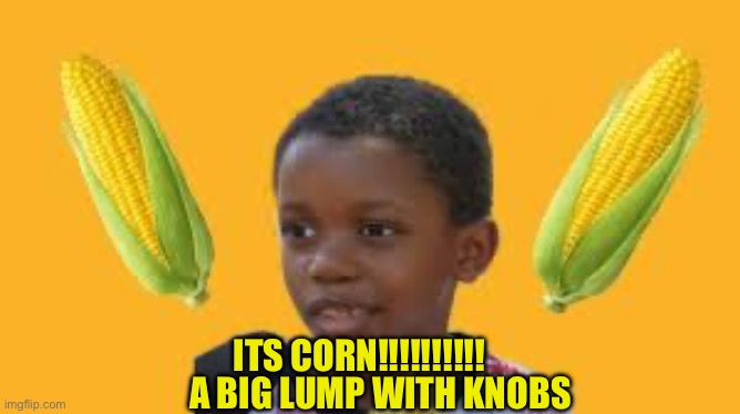 You like corn? | ITS CORN!!!!!!!!!! A BIG LUMP WITH KNOBS | image tagged in corn | made w/ Imgflip meme maker
