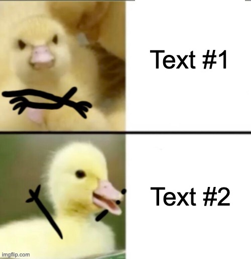Drake Duck | Text #1; Text #2 | image tagged in drake duck,ducks,memes,custom template,drake hotline bling,new template | made w/ Imgflip meme maker