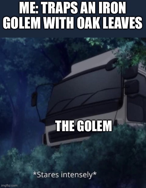 There are no emotions to truck kun | ME: TRAPS AN IRON GOLEM WITH OAK LEAVES; THE GOLEM | image tagged in truck kun staring,truck kun,memes,funny | made w/ Imgflip meme maker