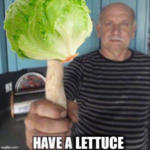 have a lettuce | image tagged in have a lettuce,meme | made w/ Imgflip meme maker