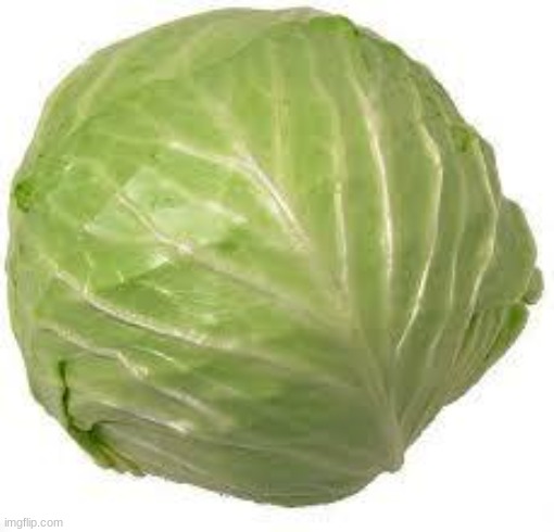 Cabbage | image tagged in cabbage | made w/ Imgflip meme maker