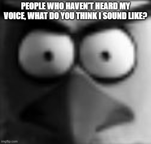 i don't know how some of you heard my voice, i'm really quiet in vc | PEOPLE WHO HAVEN'T HEARD MY VOICE, WHAT DO YOU THINK I SOUND LIKE? | image tagged in chuckposting | made w/ Imgflip meme maker