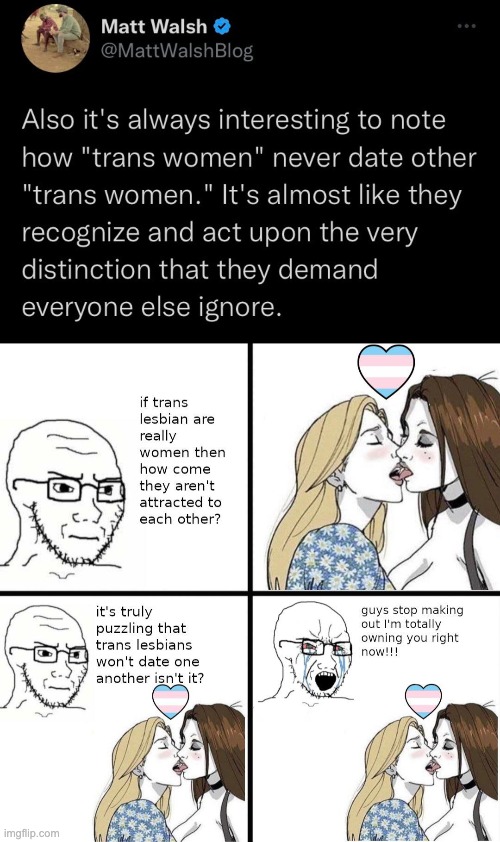 How can you be so obsessed with trans women and know so little about them? | image tagged in matt walsh,lgbtq,lesbian,transgender | made w/ Imgflip meme maker