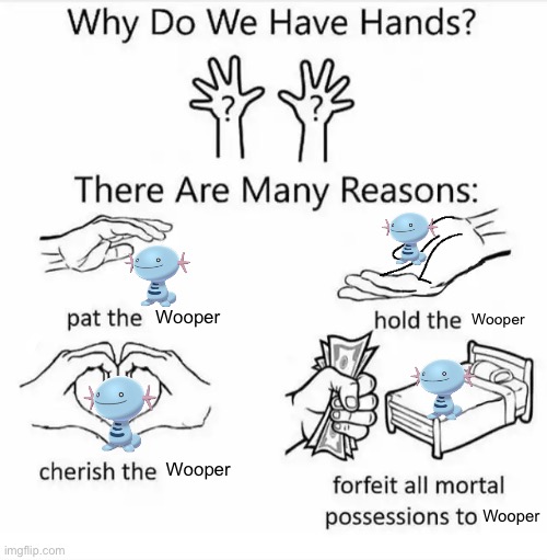 Why do we have hands? (all blank) | Wooper; Wooper; Wooper; Wooper | image tagged in why do we have hands all blank | made w/ Imgflip meme maker