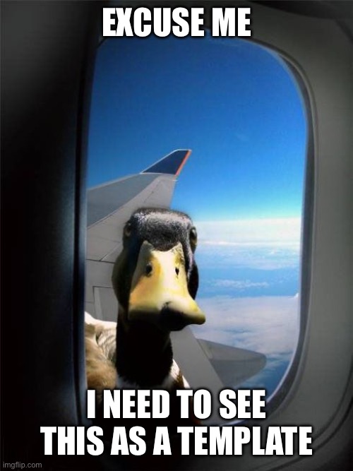 Let Me In Duck | EXCUSE ME; I NEED TO SEE THIS AS A TEMPLATE | image tagged in let me in duck | made w/ Imgflip meme maker