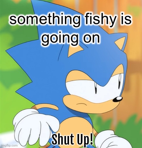 Sonic something fishy is going on | Shut Up! | image tagged in sonic something fishy is going on | made w/ Imgflip meme maker