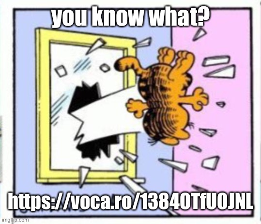Forgot to post the voice reveal | you know what? https://voca.ro/1384OTfU0JNL | image tagged in garfield gets thrown out of a window | made w/ Imgflip meme maker