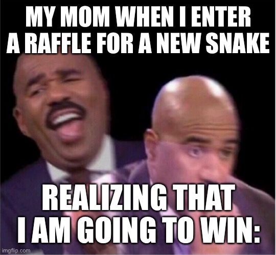 I actually did this today lol | MY MOM WHEN I ENTER A RAFFLE FOR A NEW SNAKE; REALIZING THAT I AM GOING TO WIN: | image tagged in steve harley laughing worried | made w/ Imgflip meme maker