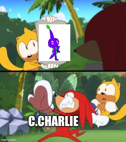 Knuckles outraged | C.CHARLIE | image tagged in knuckles outraged | made w/ Imgflip meme maker
