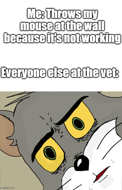 Me: Throws my mouse at the wall because it's not working; Everyone else at the vet: | image tagged in memes,unsettled tom | made w/ Imgflip meme maker