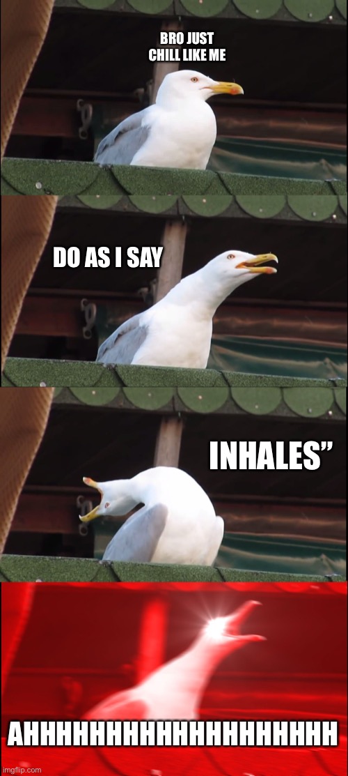 Just chill | BRO JUST CHILL LIKE ME; DO AS I SAY; INHALES”; AHHHHHHHHHHHHHHHHHHH | image tagged in memes,inhaling seagull | made w/ Imgflip meme maker