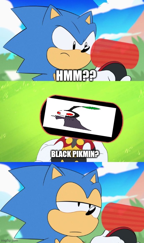HMM?? BLACK PIKMIN? | image tagged in sonic dumb message meme | made w/ Imgflip meme maker