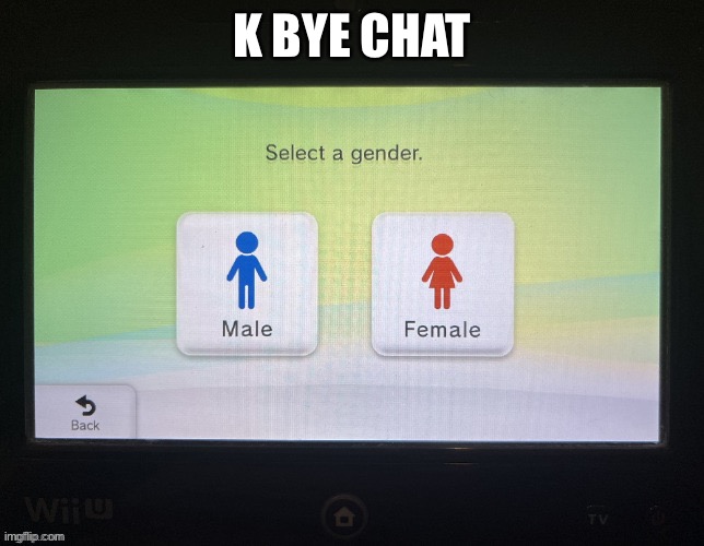 I’ll be back | K BYE CHAT | image tagged in balls | made w/ Imgflip meme maker