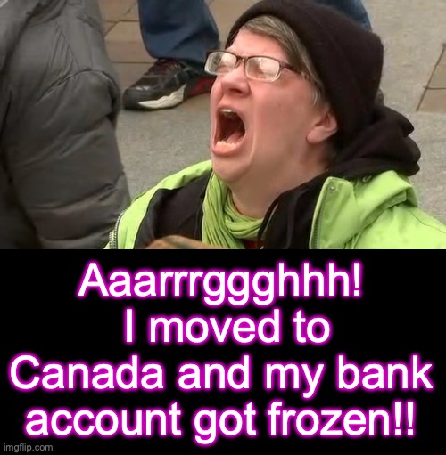 Aaarrrggghhh!  I moved to Canada and my bank account got frozen!! | image tagged in trump screamer,black box | made w/ Imgflip meme maker