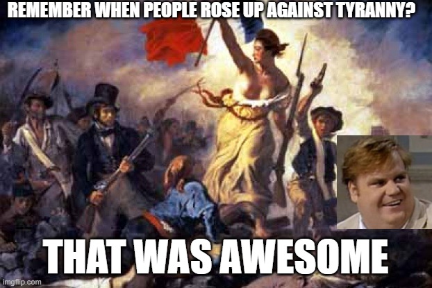 Chris F | REMEMBER WHEN PEOPLE ROSE UP AGAINST TYRANNY? THAT WAS AWESOME | image tagged in french revolution | made w/ Imgflip meme maker