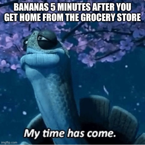 Bananas Don’t Care | BANANAS 5 MINUTES AFTER YOU GET HOME FROM THE GROCERY STORE | image tagged in my time has come | made w/ Imgflip meme maker