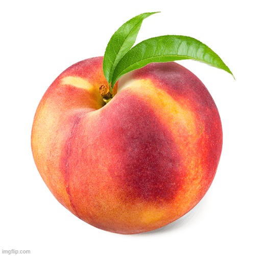 Peach | image tagged in food | made w/ Imgflip meme maker