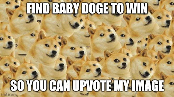 Find baby doge | FIND BABY DOGE TO WIN; SO YOU CAN UPVOTE MY IMAGE | image tagged in memes,multi doge | made w/ Imgflip meme maker