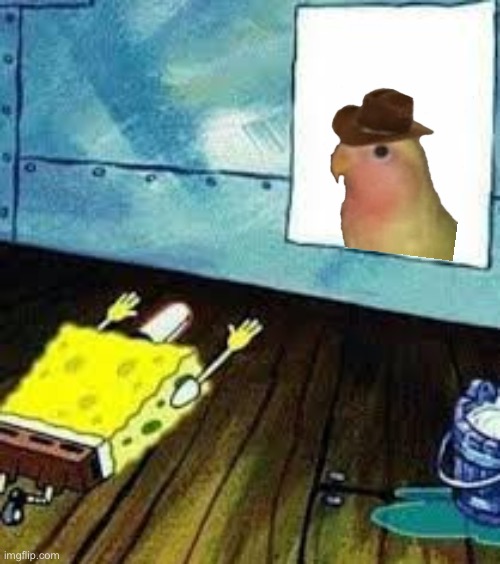 spongebob worship | image tagged in spongebob worship | made w/ Imgflip meme maker