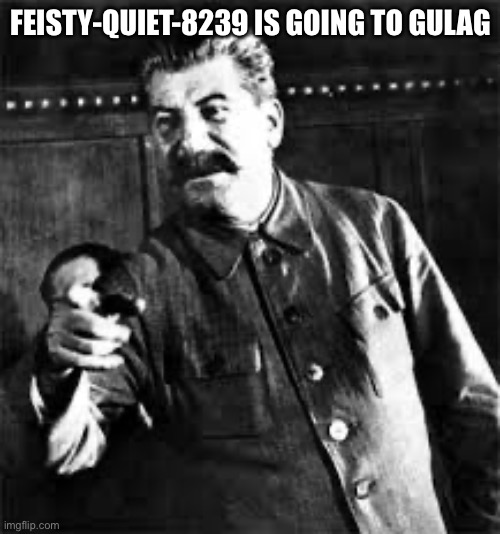joseph stalin go to gulag | FEISTY-QUIET-8239 IS GOING TO GULAG | image tagged in joseph stalin go to gulag | made w/ Imgflip meme maker