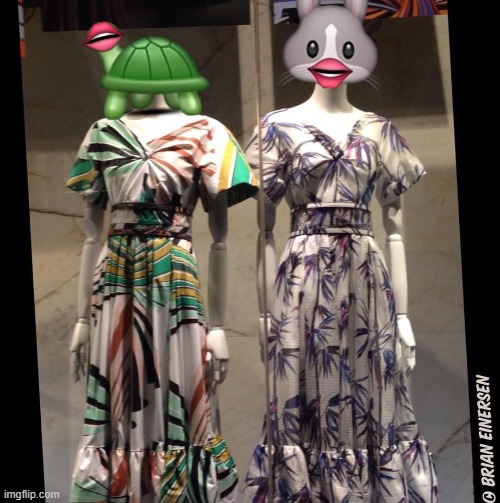 The Tortoise and the Hare | image tagged in fashion,window design,pucci,the tortoise and the hare,emooji art,brian einersen | made w/ Imgflip meme maker