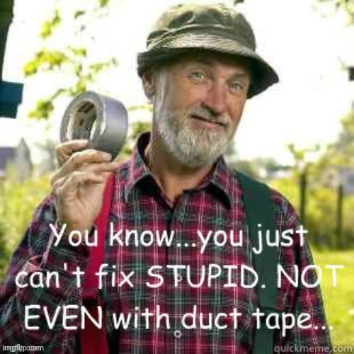 you can't fix stupid | image tagged in you can't fix stupid | made w/ Imgflip meme maker
