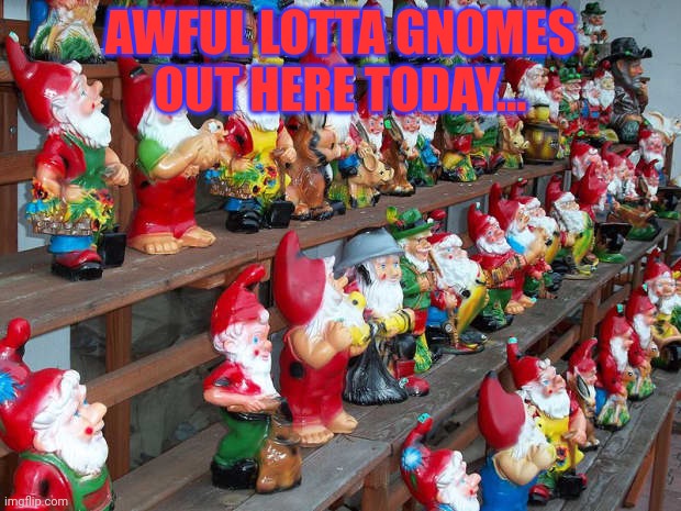 AWFUL LOTTA GNOMES OUT HERE TODAY... | made w/ Imgflip meme maker