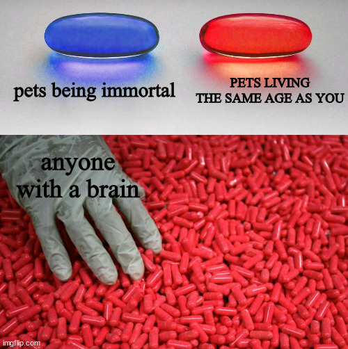 Blue or red pill | pets being immortal; PETS LIVING THE SAME AGE AS YOU; anyone with a brain | image tagged in blue or red pill | made w/ Imgflip meme maker