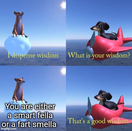 So true | You are either a smart fella or a fart smella | image tagged in wisdom dog | made w/ Imgflip meme maker