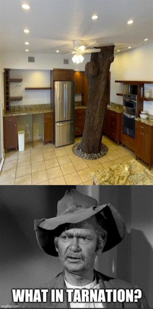 Tree in the kitchen | image tagged in what in tarnation,memes,reposts,repost,tree,kitchen | made w/ Imgflip meme maker