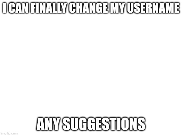 I CAN FINALLY CHANGE MY USERNAME; ANY SUGGESTIONS | made w/ Imgflip meme maker