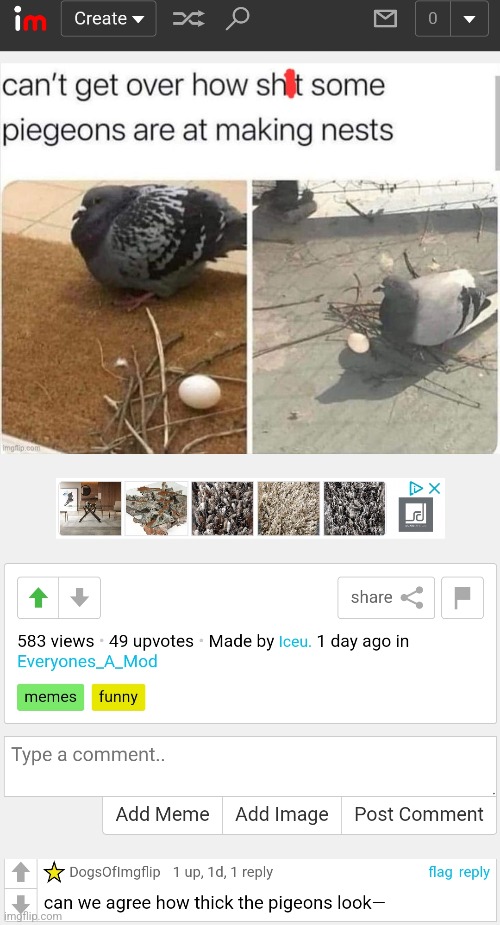 Oh no | image tagged in pigeon,memes,cursed | made w/ Imgflip meme maker